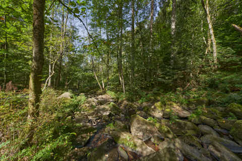 Gemeinde Waldkirchen Landkreis Freyung-Grafenau Saußbachklamm (Dirschl Johann) Deutschland FRG